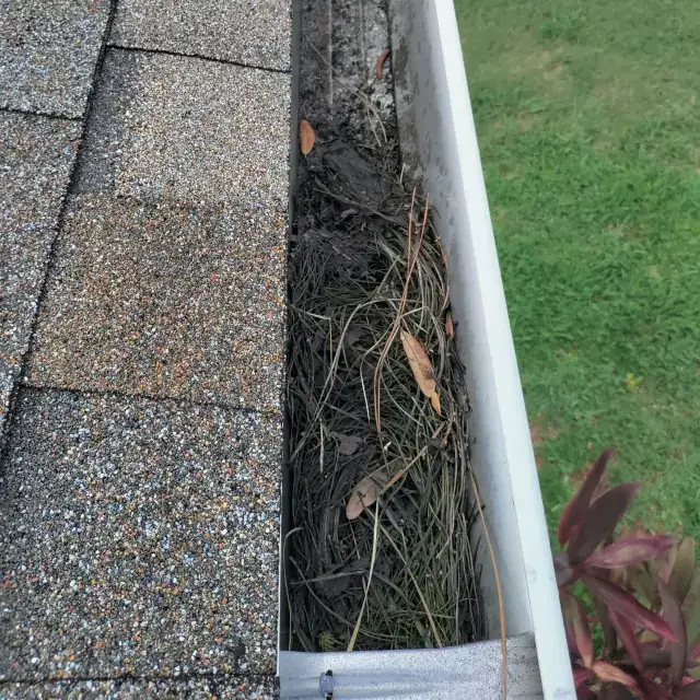 Gutter cleanout and repair — project 1